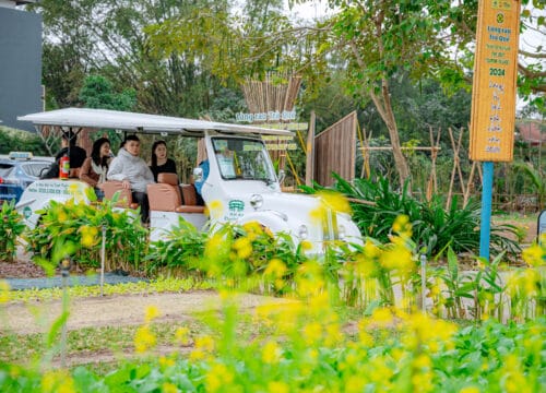 Tour Thiên Nhiên Hội An